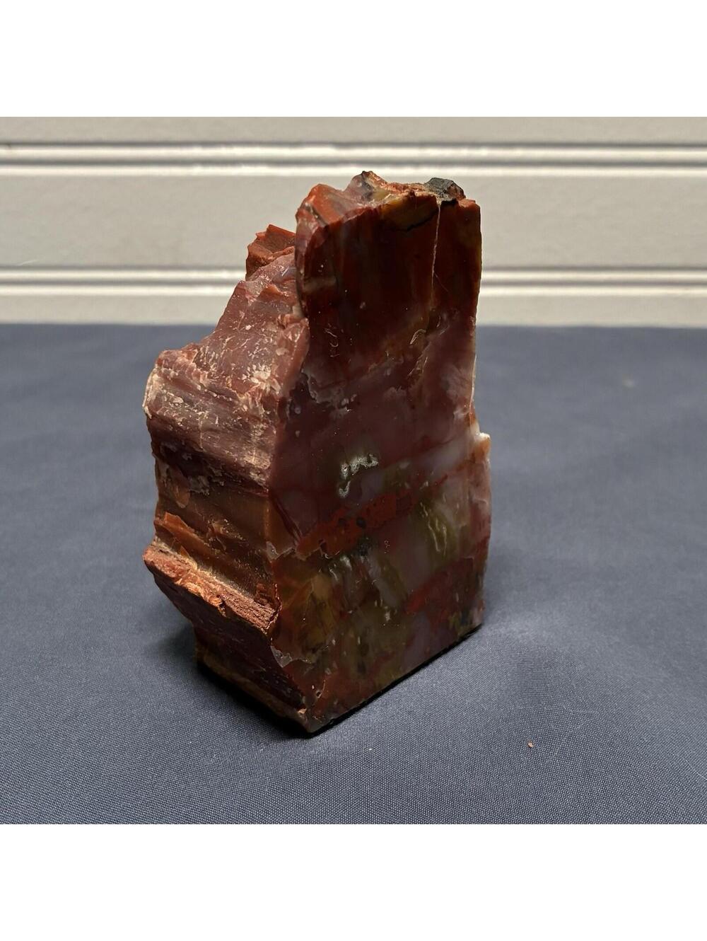 Polished Petrified Wood - 295 grams / 10.5 oz - origin unknown